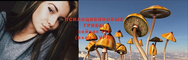 трава Богородск