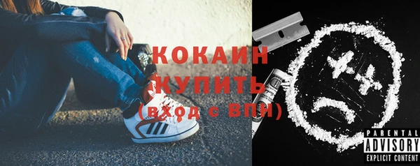 ешки Новозыбков
